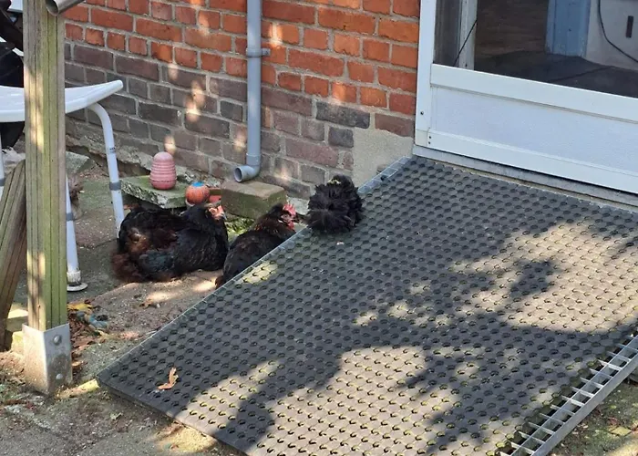 Sharon's And Ser's Place In Heer-maastricht شقة ماسترخت