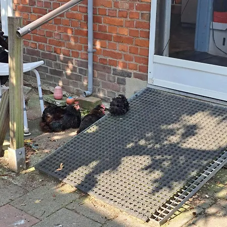 Sharon's And Ser's Place In Heer-maastricht 아파트 마스트리흐트